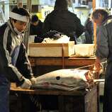 Japan's radiation found in California bluefin tuna - SFGate