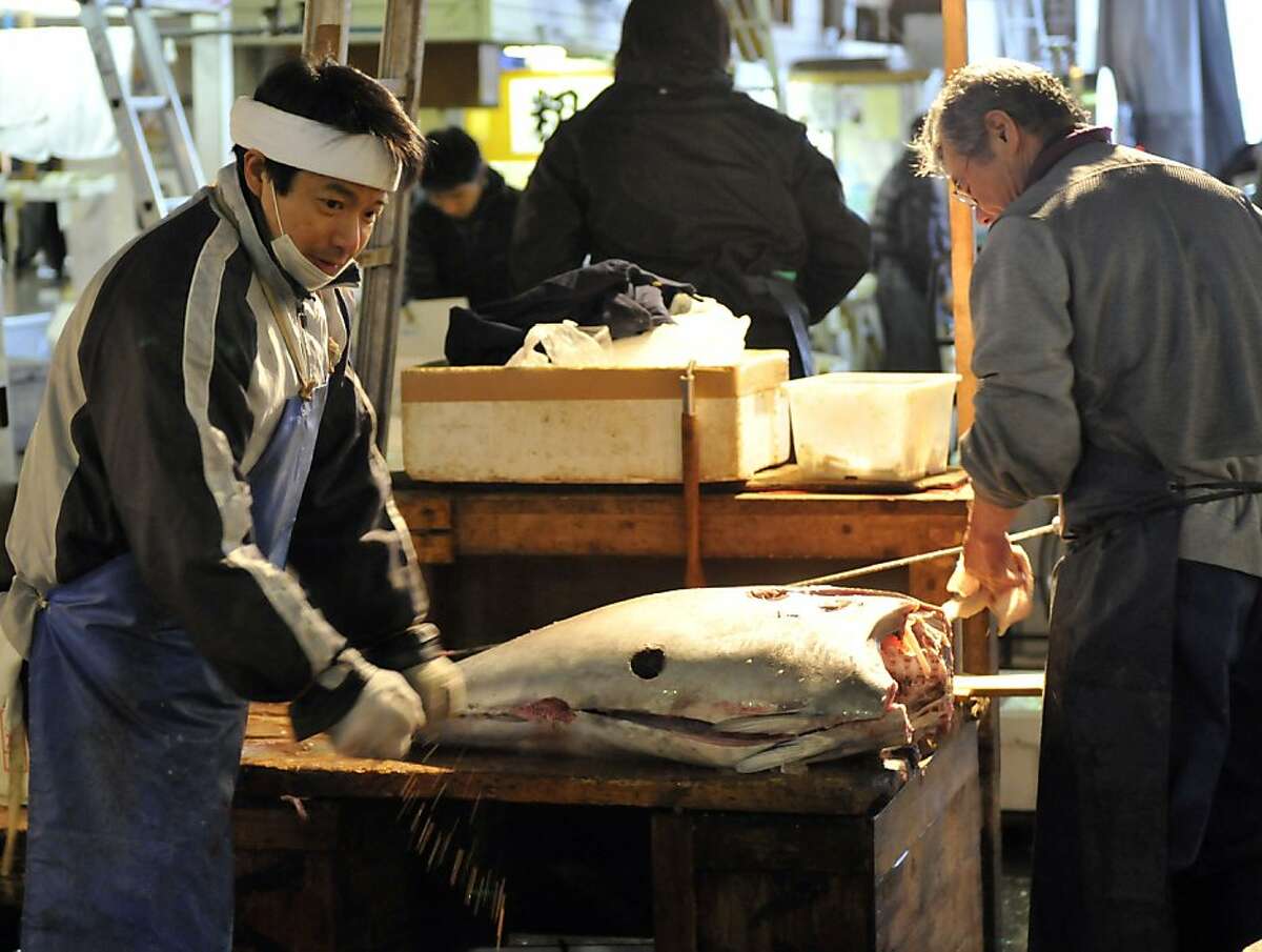 Fishmongers prepare a bluefin tuna at Tokyo's Tsukiji fish market in this March 23, 2011 file photo. Bluefin tuna caught off the US coast have been found to contain radioactive material from Japan's quake-struck Fukushima nuclear plant, according to a new study.Researchers found "modestly elevated levels" of two radioactive isotopes in 15 bluefin tuna caught off the coast of San Diego, California in August 2011, according to the study published online May 28, 2012 by the Proceedings of the National Academy of Sciences (PNAS). The researchers said the elevated radioactivity posed no risk to public health as the observed levels were more than an order of magnitude lower than the Japanese safety limit and were lower than other naturally present isotopes. "We were quite surprised to find that bluefin carried both of these isotopes," co-author Nicholas Fisher, of New York's Stony Brook University, told CNN on May 29, 2012.