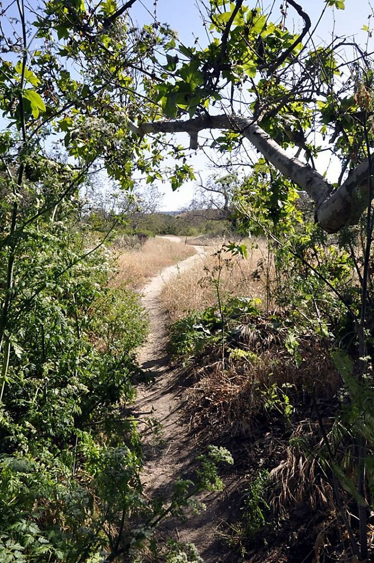 Miles of scenic trails at Monterey County's Fort Ord