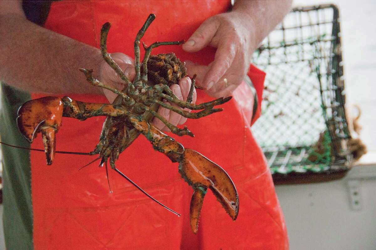 72 Hours or Less Ogunquit, Maine