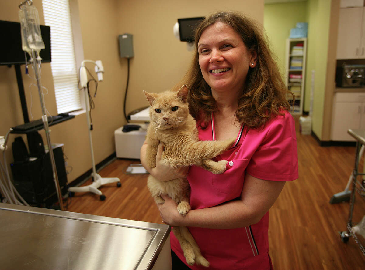 Dr. Katz opens clinic to treat cats 'like royality'