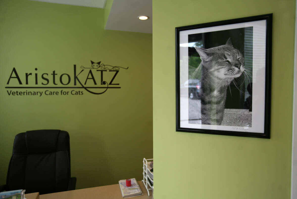 cats only veterinary clinic