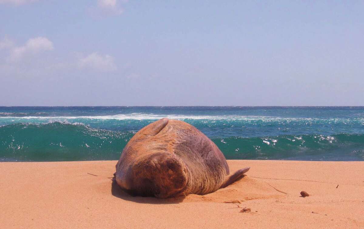 Top 10 Family Beaches