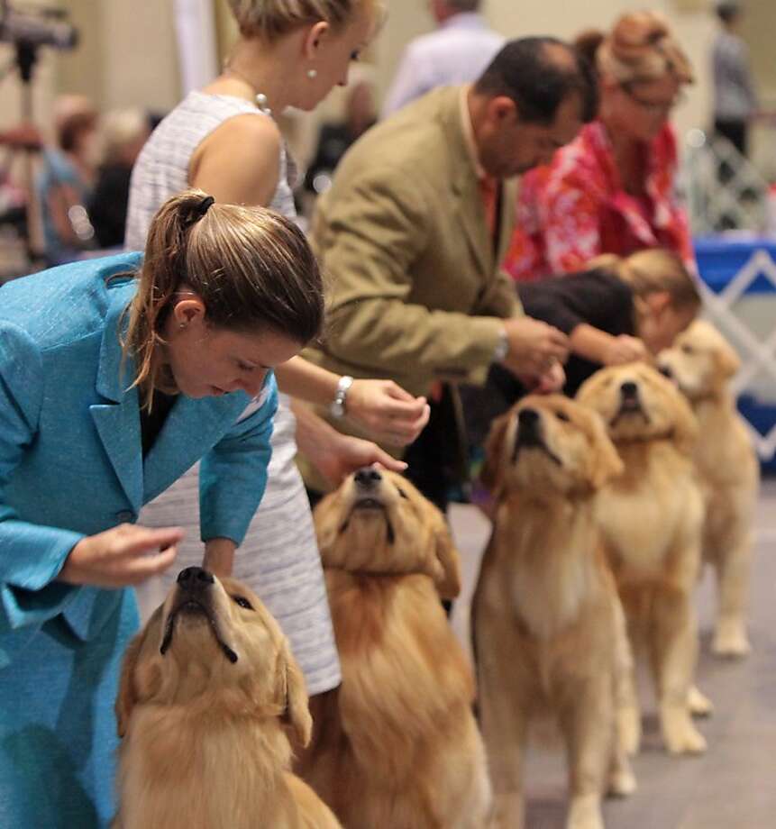 SFGate Day in Pictures SFGate