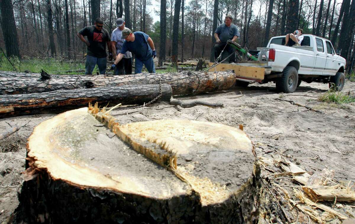 Scott Keen, third from left, shows his teammates Joe Hewtty, left, and David Keen, second from left, how to connect a third log to their homemade log pulling machine Saturday May 26, 2012 during the Lost Pines Log Pull 4x4 Off Road Burned Forest Challenge near Bastrop, Texas. The two-day event which runs through Sunday drew a hand full of participants and spectators Saturday in what event organizers called a first-of-its-kind grassroots effort to save fire-damaged trees that were killed in last year's 36,000 acre wildfire.