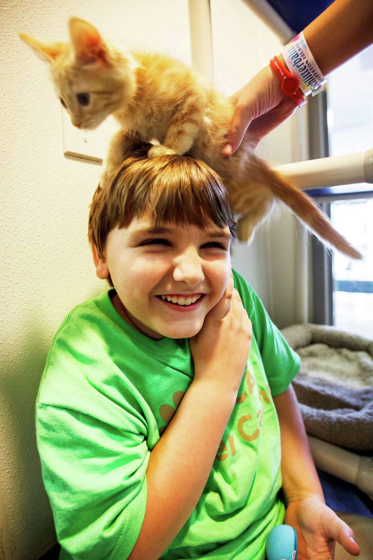 Isaac Durbin, 10, reacts as Adam Lennard, 12, puts a 2-month-old Tabby named Frack on his head during the Houston SPCA Critter Camp, Tuesday, June 5, 2012, in Houston.