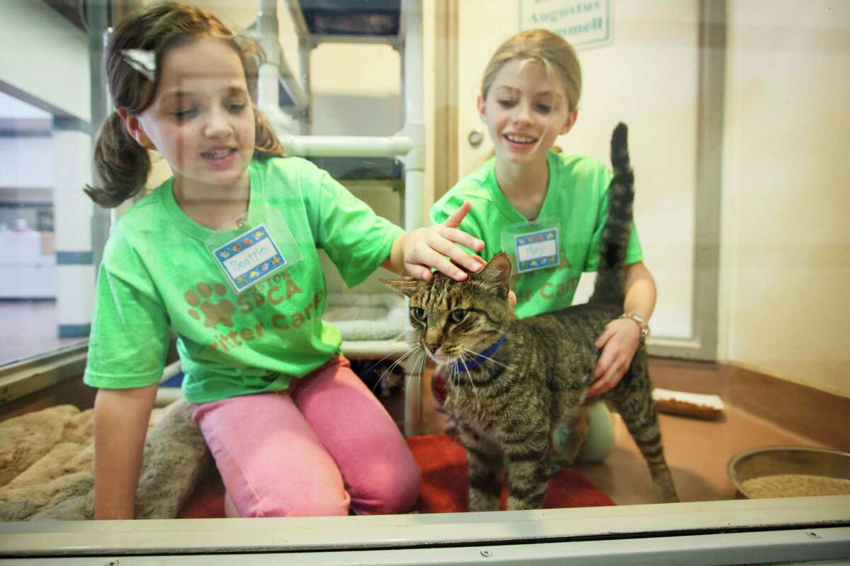 Local kids learn about rescued animals during the Houston SPCA Critter Camp