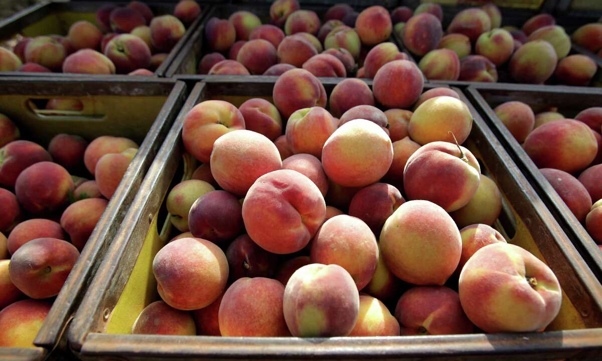 Peaches fresh off the tree in the Hill Country. This year's growing season has been "close to ideal," said a Texas fruit specialist.