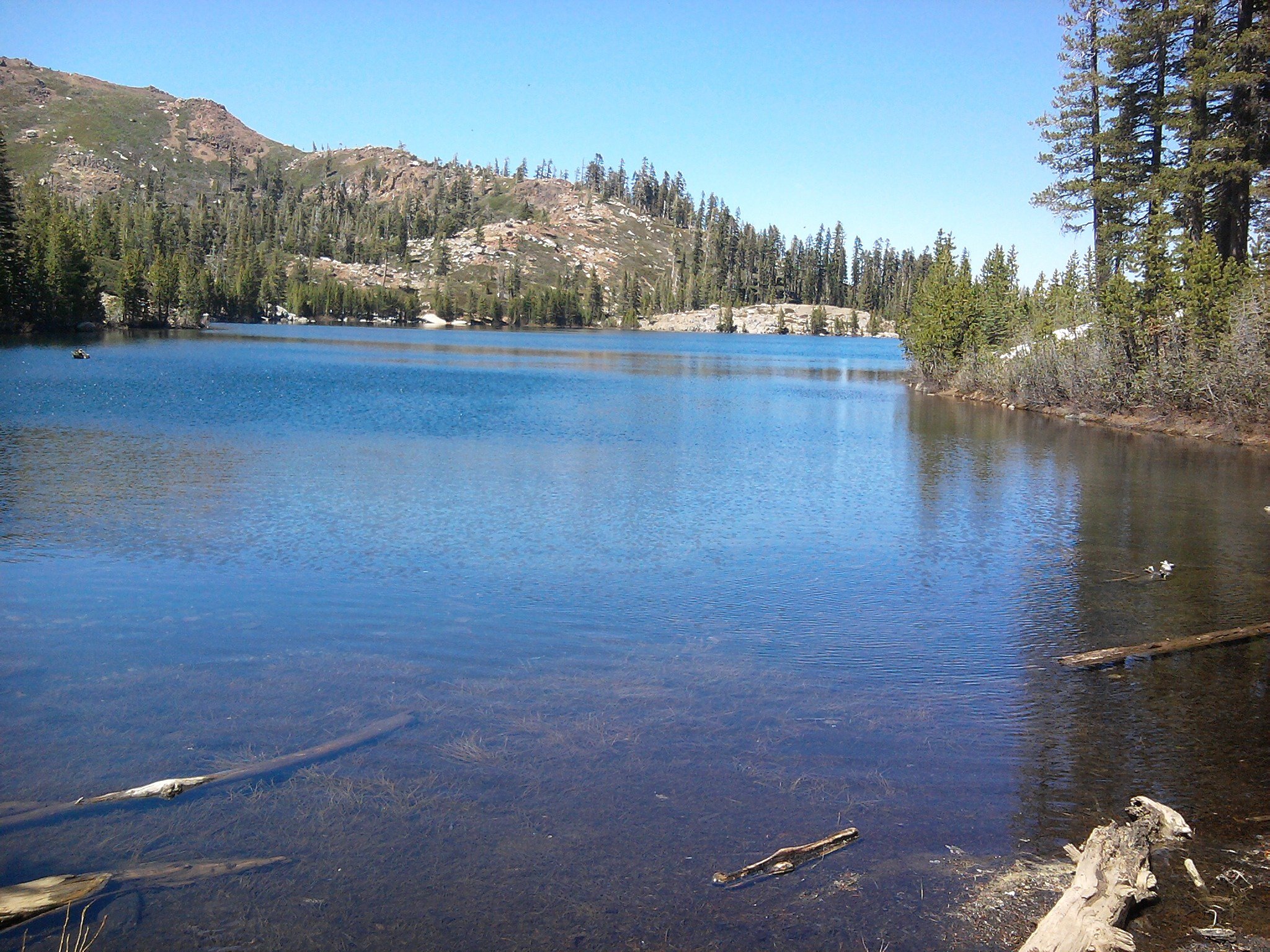 All-access pass to national forest rec areas
