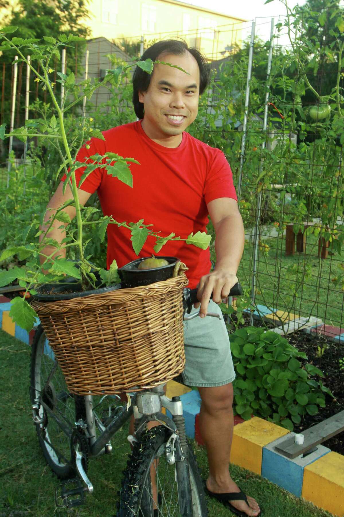 (For the Chronicle/Gary Fountain, May 17, 2012) Wing Tse at the Midtown Community Garden at the corner of Drew and Baldwin with a Sun Gold cherry tomato plant in the basket of his bicycle.