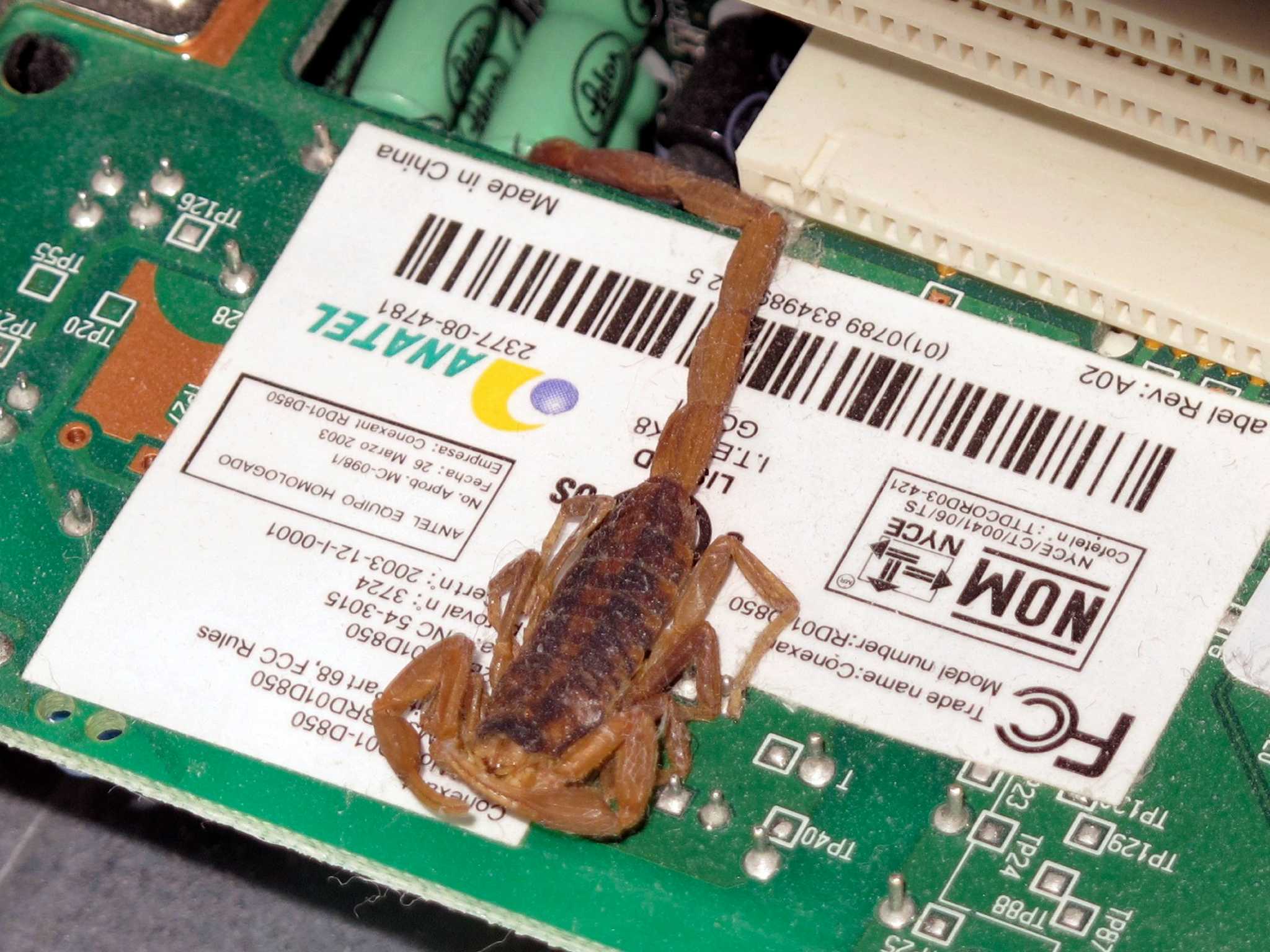 mims-the-term-computer-bug-can-be-literal