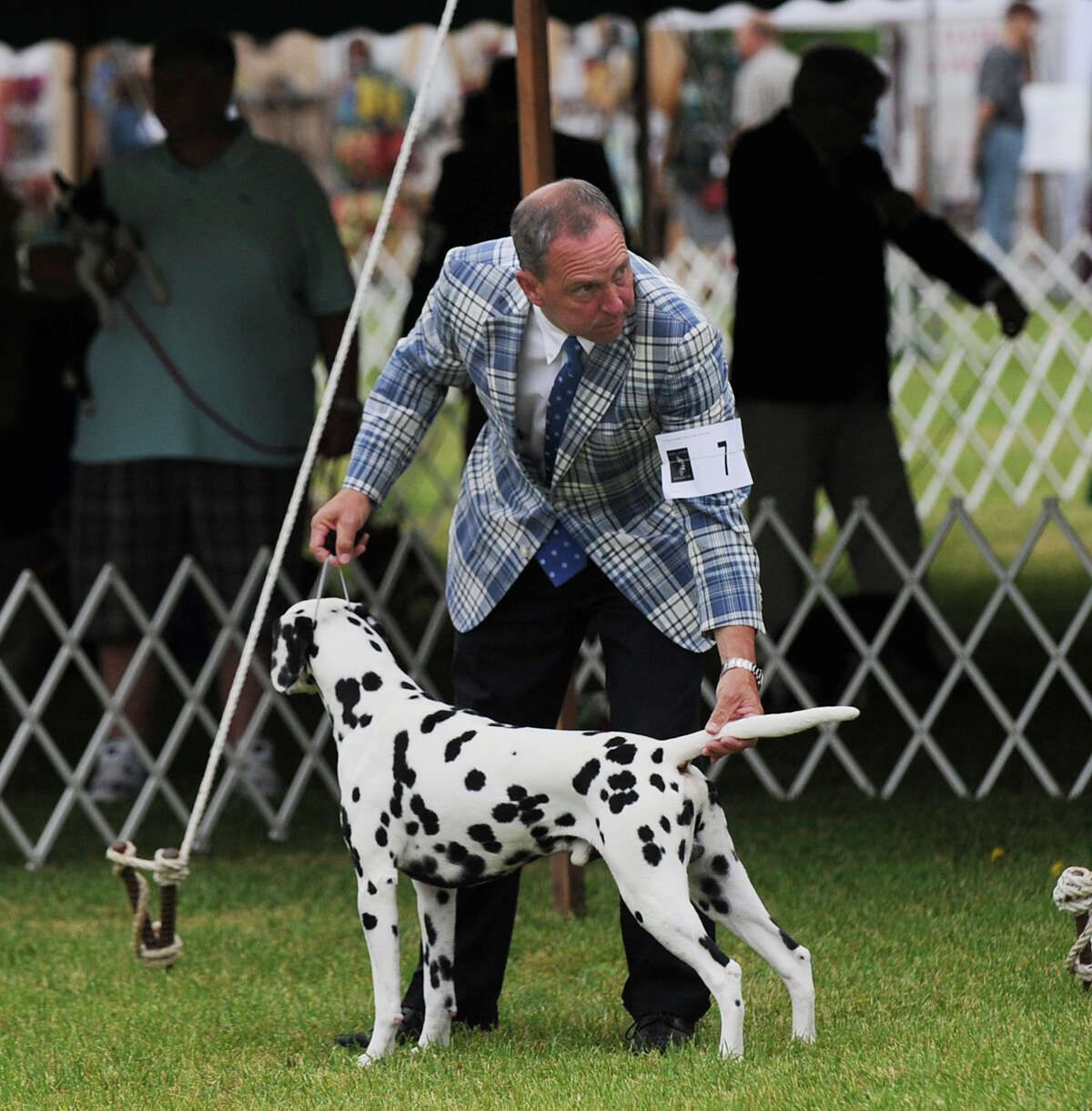 Bad fur day at Greenwich Kennel Club dog show