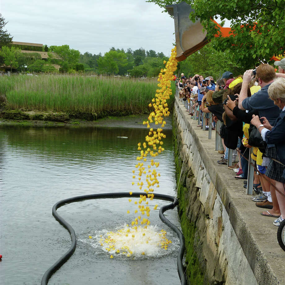 Sunrise Rotary to hold Great Duck Race Westport News