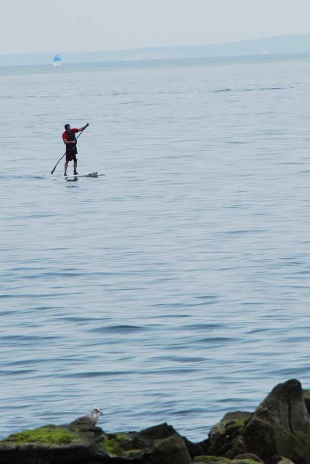westport paddle boarding