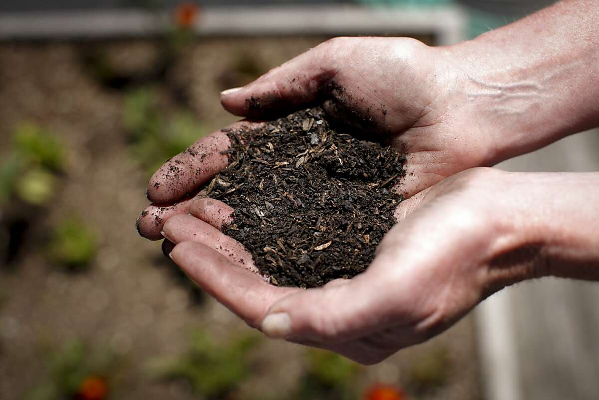 Biochar is added to the soil in a planter on the Chronicle Rooftop Garden on Monday, June 11, 2012.