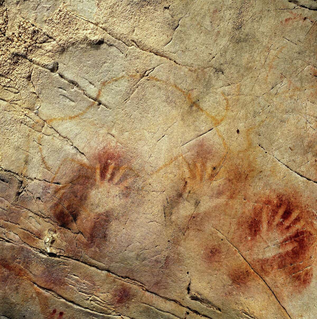 This undated handout photo provided by pedro suara/aaas shows detail of the 'Panel of Hands', El Castillo Cave, Spain, showing red disks and hand stencils made by blowing or spitting paint onto the wall. A date from a disk shows the painting to be older than 40,800 years making it the oldest known cave art in Europe. The bison overlies the hands and is therefore painted later. New tests show that crude Spanish cave paintings of a red sphere and handprints are the oldest in the world, so ancient they may not have been by modern man. They might have even been made by the much-maligned Neanderthals, some scientists suggest but others disagree. (AP Photo/Pedro Saura, AAAS)