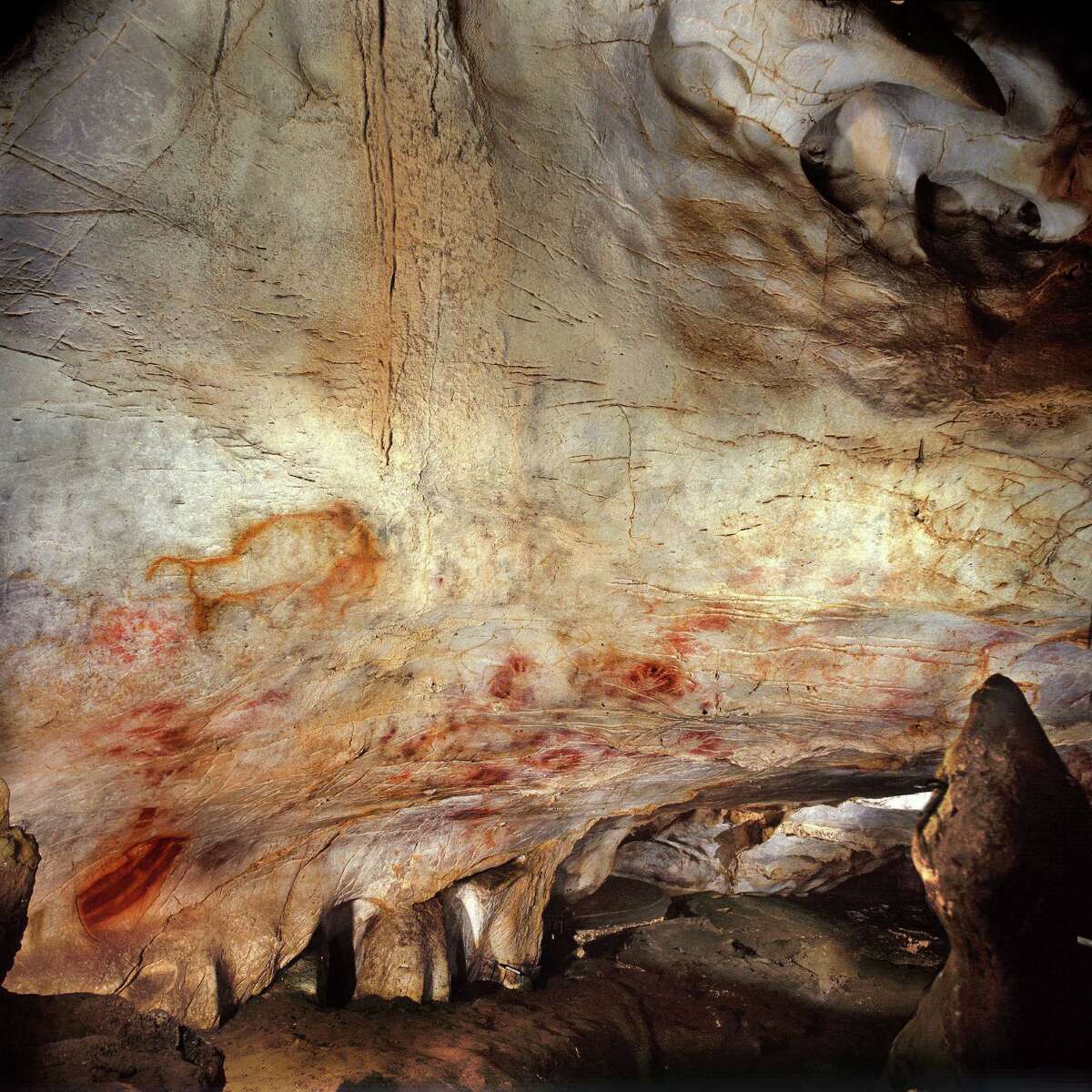 This undated handout photo provided by pedro suara/aaas shows the 'Panel of Hands', El Castillo Cave showing red disks and hand stencils made by blowing or spitting paint onto the wall. A date from a disk shows the painting to be older than 40,800 years making it the oldest known cave art in Europe. The bison overlay the hands and are therefore painted later. New tests show that crude Spanish cave paintings of a red sphere and handprints are the oldest in the world, so ancient they may not have been by modern man. They might have even been made by the much-maligned Neanderthals, some scientists suggest but others disagree. (AP Photo/Pedro Saura, AAAS)