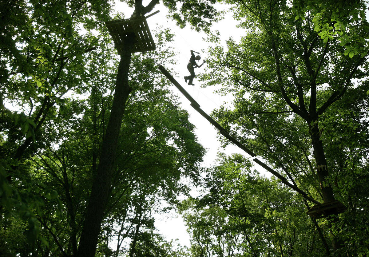 Bridgeport's new 'forest ropes' park nearing completion
