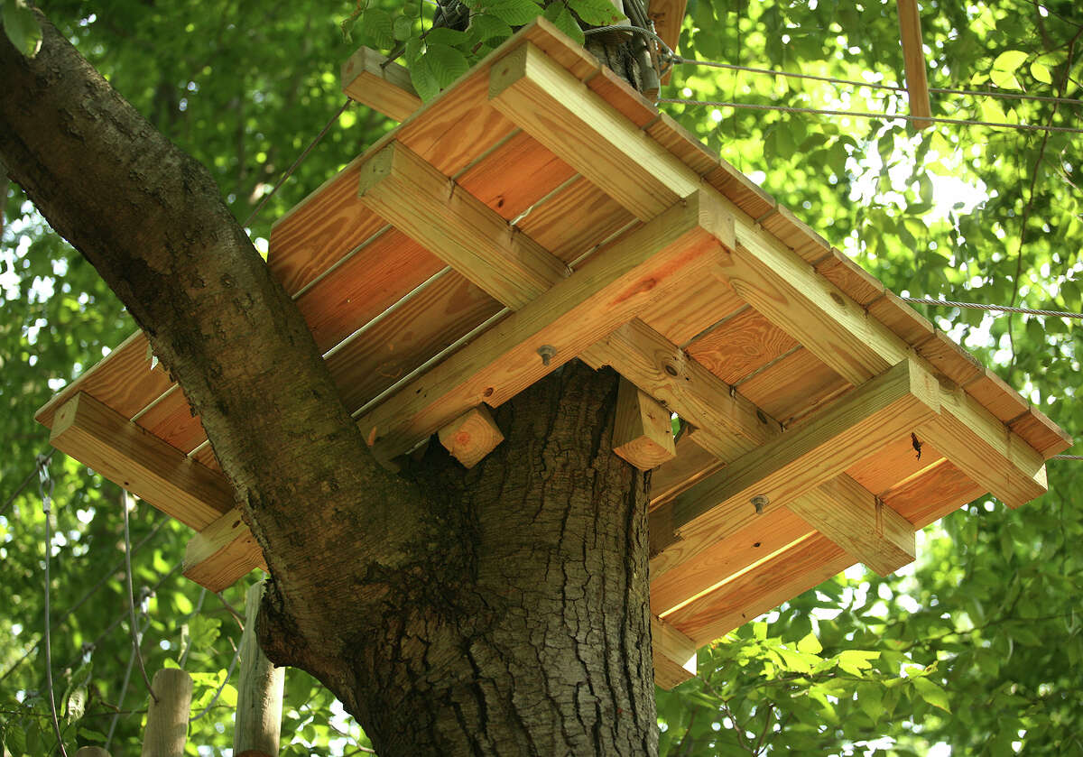 Bridgeport's new 'forest ropes' park nearing completion