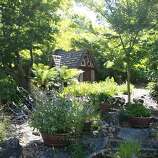 Marin Art & Garden Center in Ross - SFGate Marin Art & Garden Center in Ross - SFGate