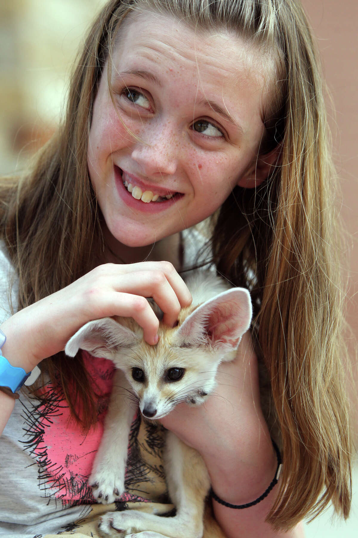 Abbey Paulson, 12, cuddles with a fennec fox at Morgan's Wonderland Zoofari Animal Show.