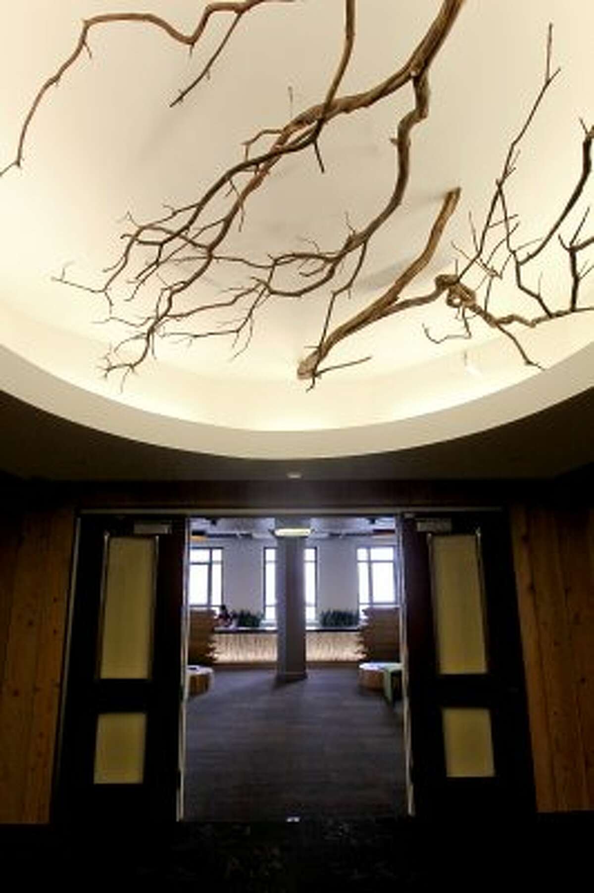 In Twitter's new headquarters — inside the historic Market Square building at 1355 Market St., in San Francisco, Ca — the elevator lobby into the reception area has a tree theme, which is appropriate considering the company logo is a bluebird. (Michael Macor / The Chronicle)