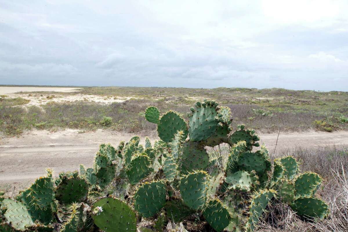 The proposed site for SpaceX spaceport near Boca Chica Beach Tuesday, June 19, 2012, in Brownsville.