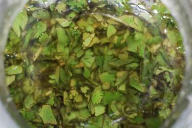 Vinaigrette Is Versatile Dressing Dip Houston Chronicle