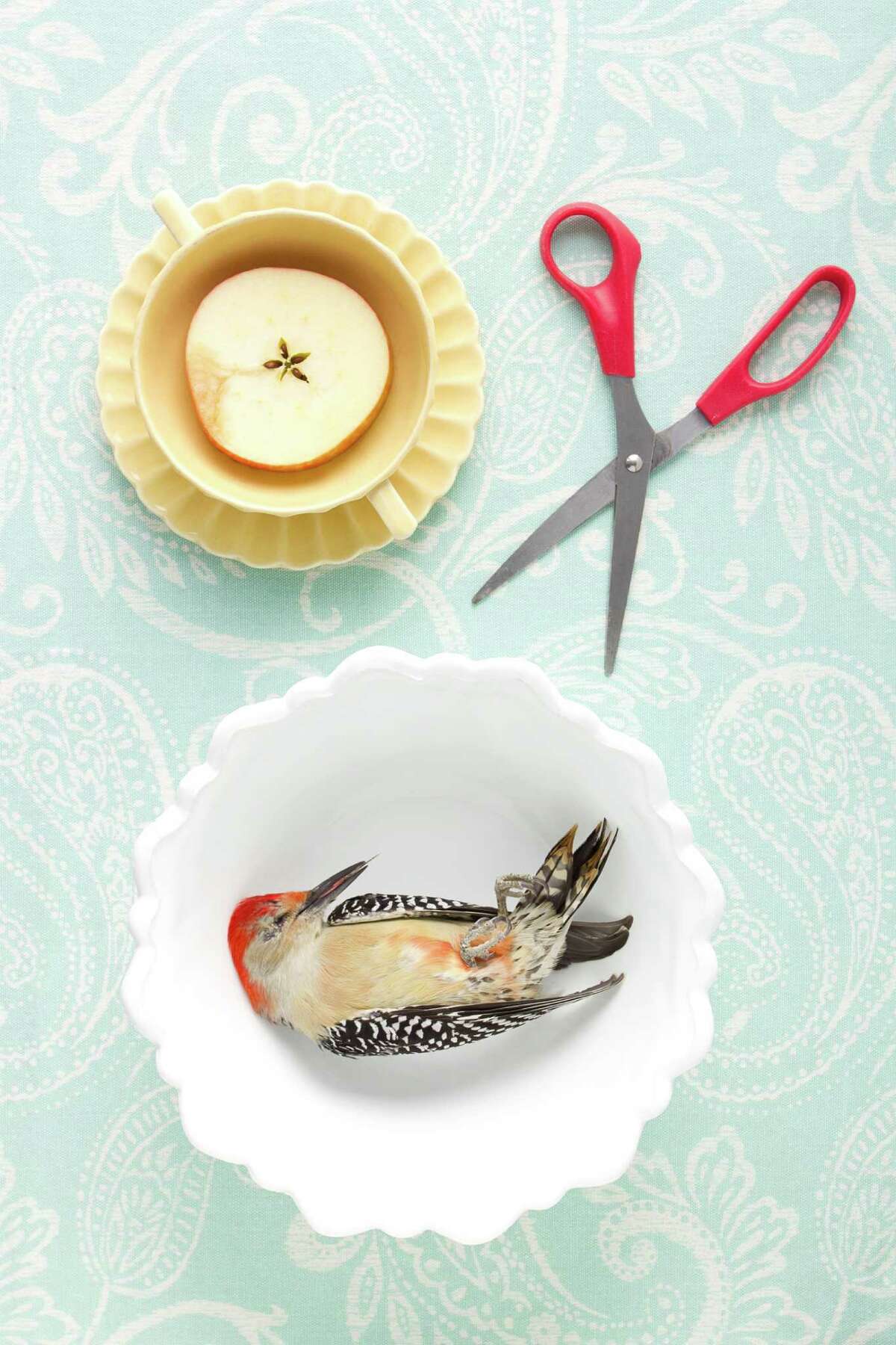 Kimberly Witham, "Still Life with Woodpecker and Scissors" will be exhibited at Collar Works Gallery in ?Gilding the Collapse: Artists of the Billboard Art Project.? (Courtesy Collar Works Gallery)
