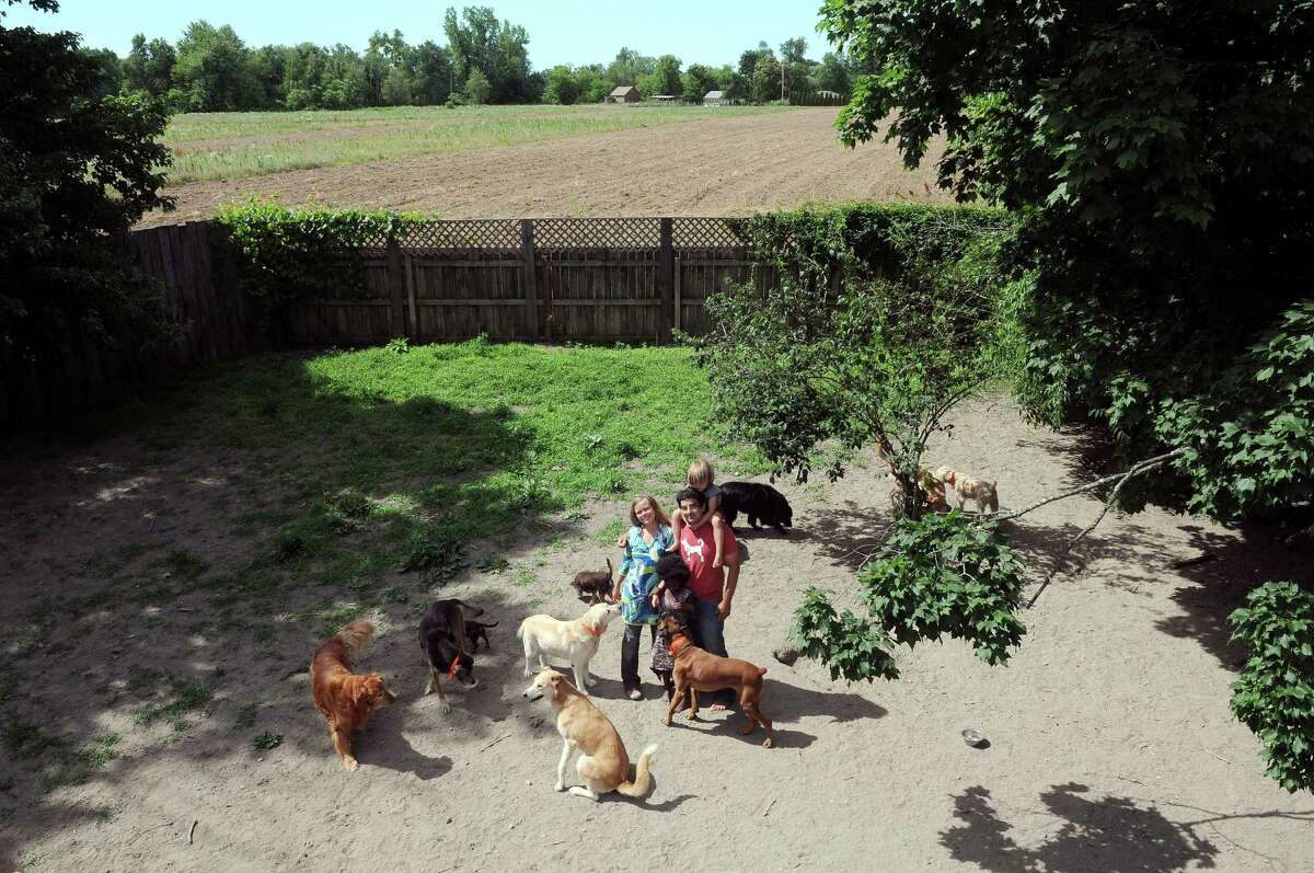 Aenne Grannis, left, and her husband Will Pflaum pose with their children, Lotta, 5, standing and Leo, 3, as they visit with the dogs inside the enclosure at their business the Glencadia Dog Camp on Wednesday, June 27, 2012 in the Town of Stuyvesant, NY. Pflaum and Grannis own and operate the dog camp. (Paul Buckowski / Times Union)