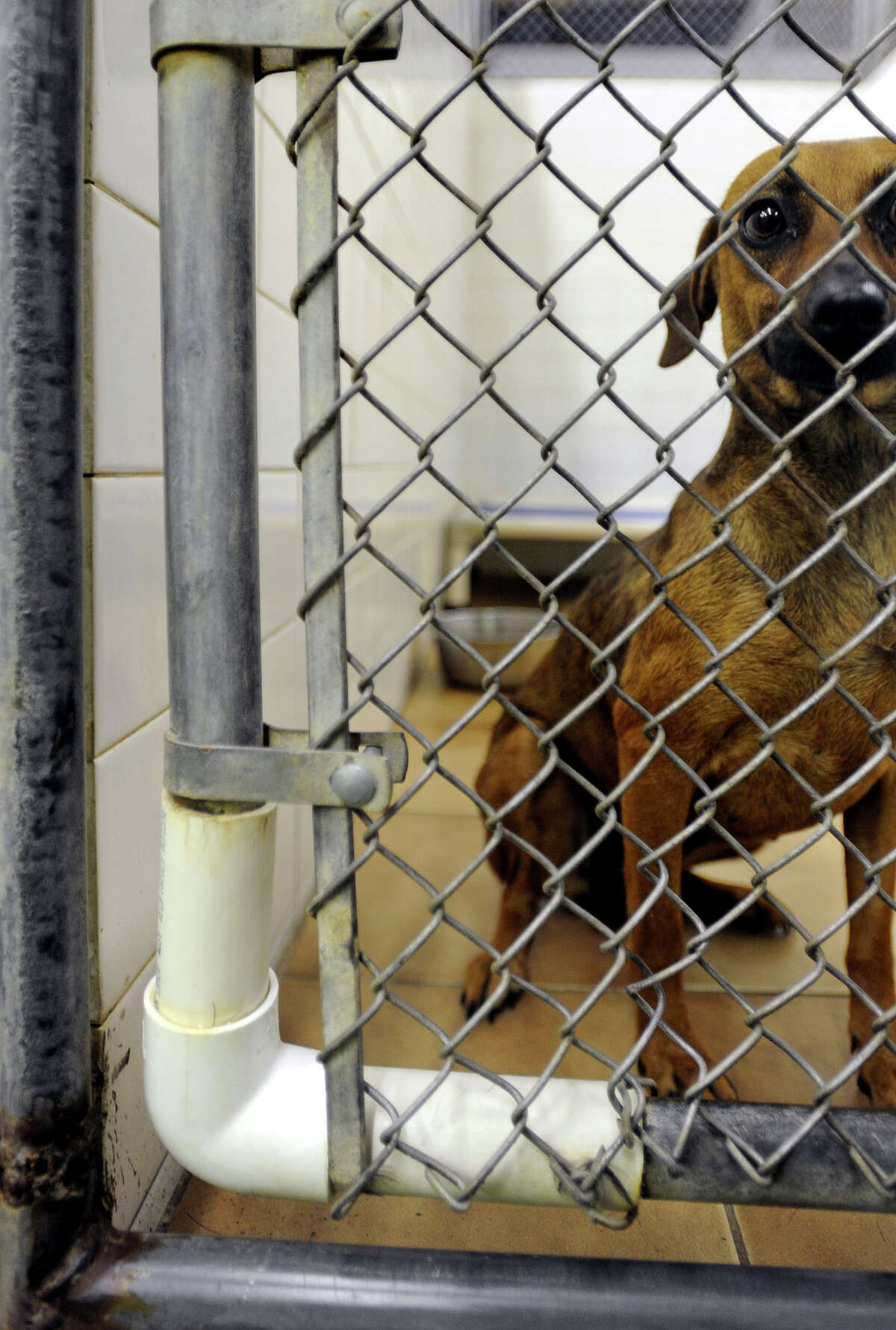 Will Beaumont�s Event Centre be open by the Fourth of July?