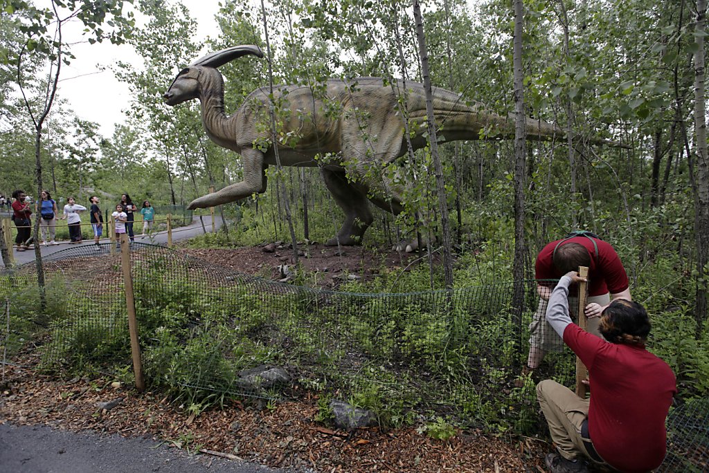 the field station dinosaurs