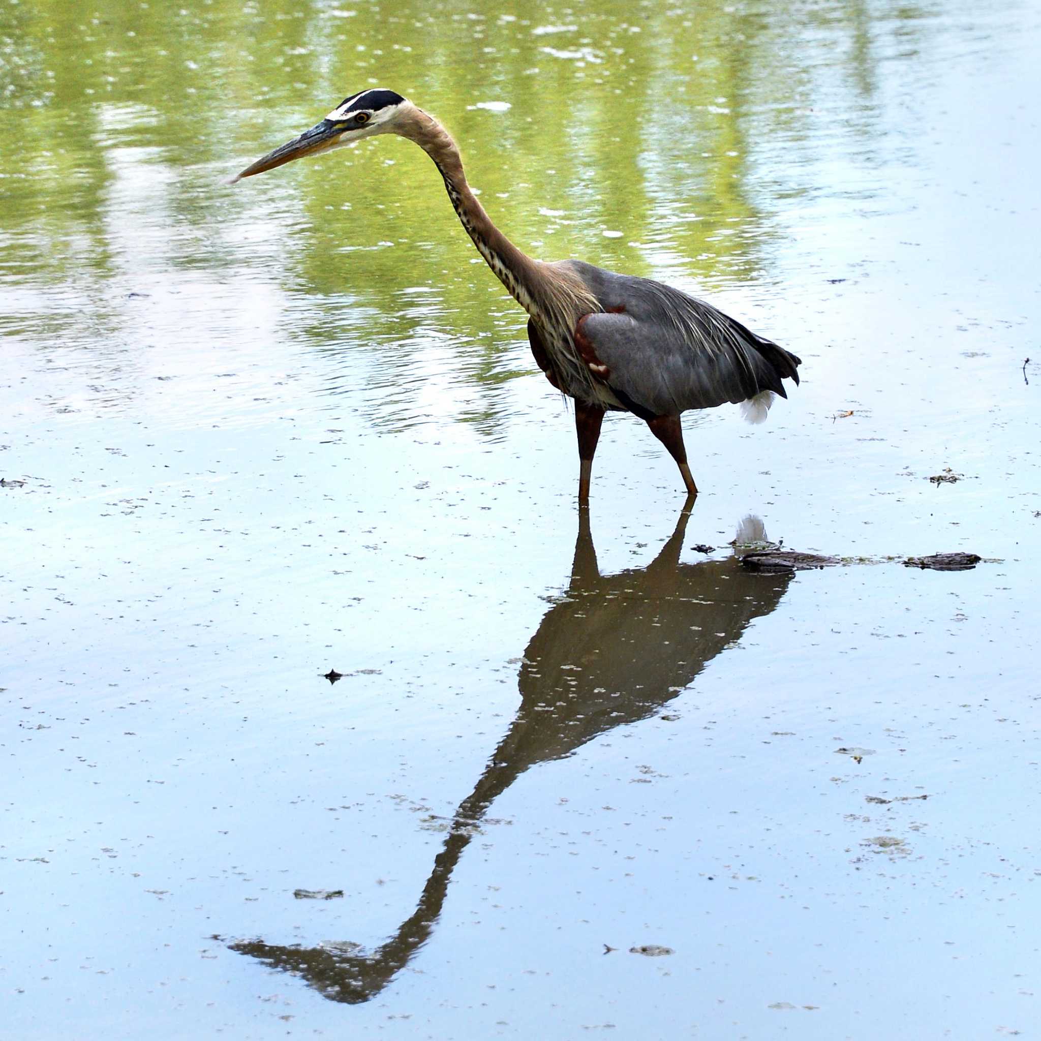 Photos: All Around The Lake