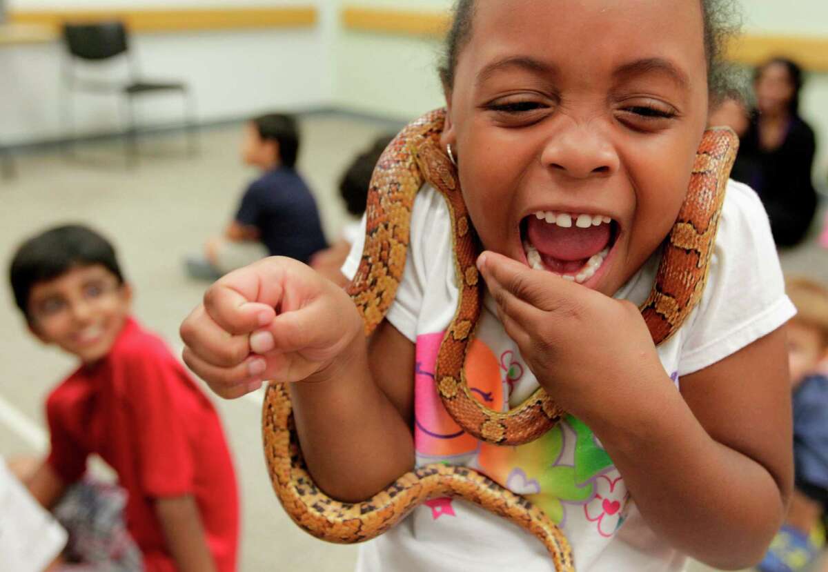 7 slithery facts about Texas snakes