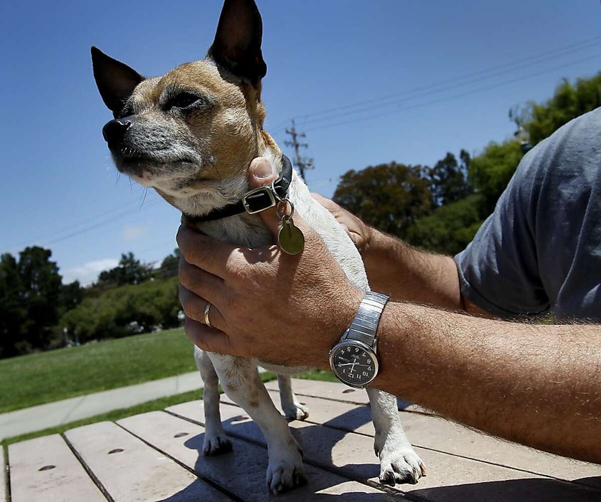 Riot received extensive vet care after his bladder grew because of the urinary tract blockage. Peter McGurty walks his dog Riot at a park in Brisbane, Calif. Riot had a major operation after a stone blocked his urinary tract. A group of vets have formed SF Aid for Animals, which disperses grants to pet owners who may have a financial hardships .
