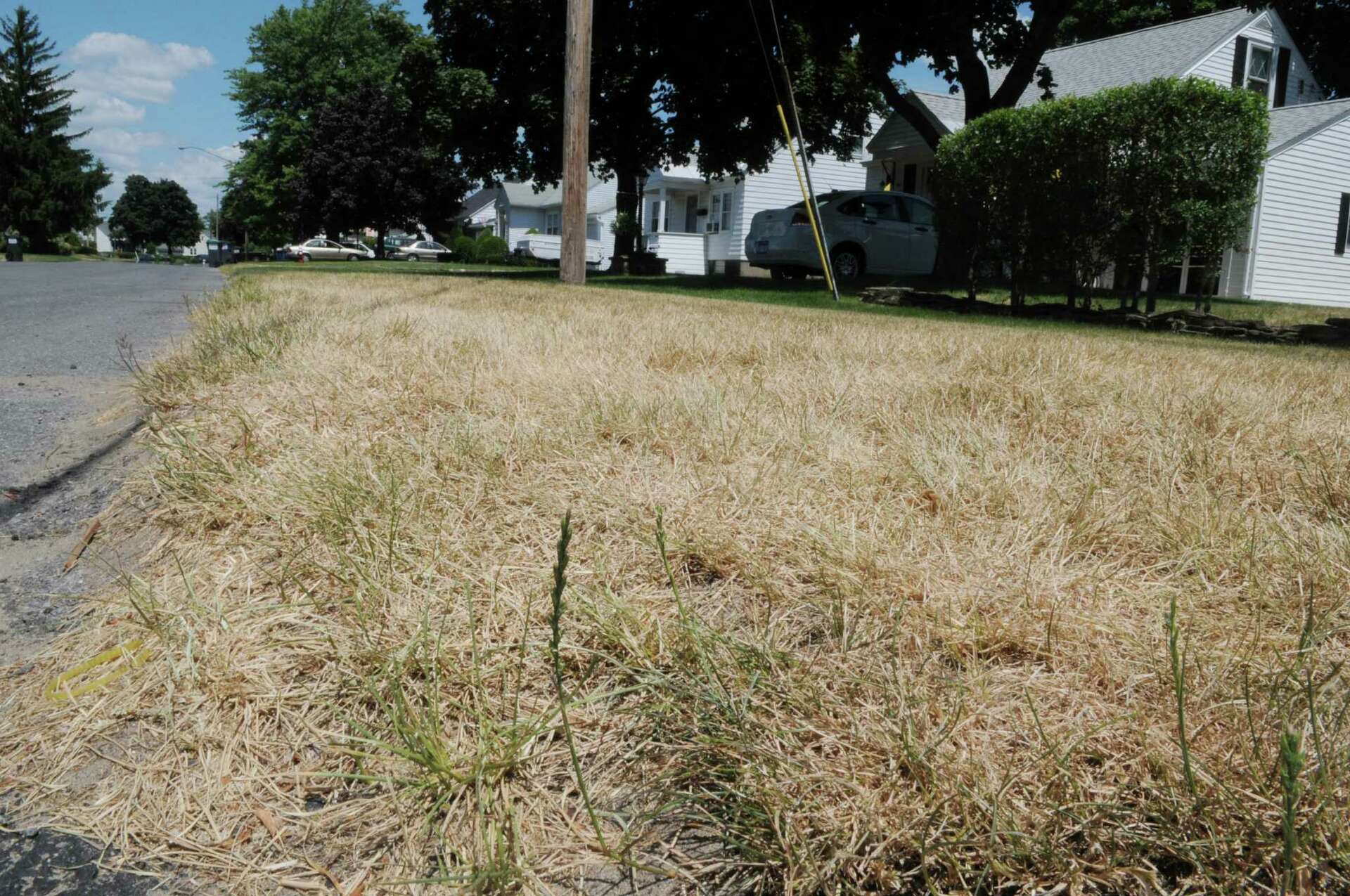 Reactions to water restrictions heating up