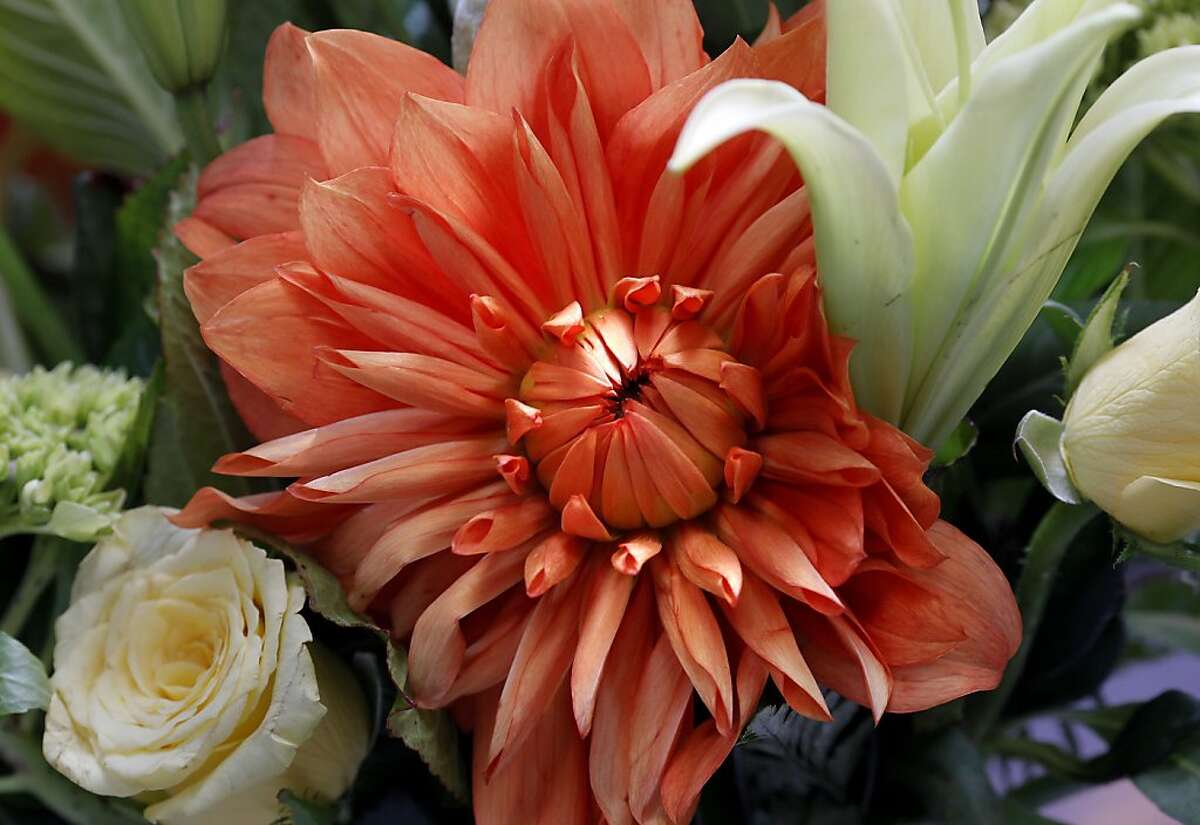 Hoogasians see thornier side of S.F. floral trade