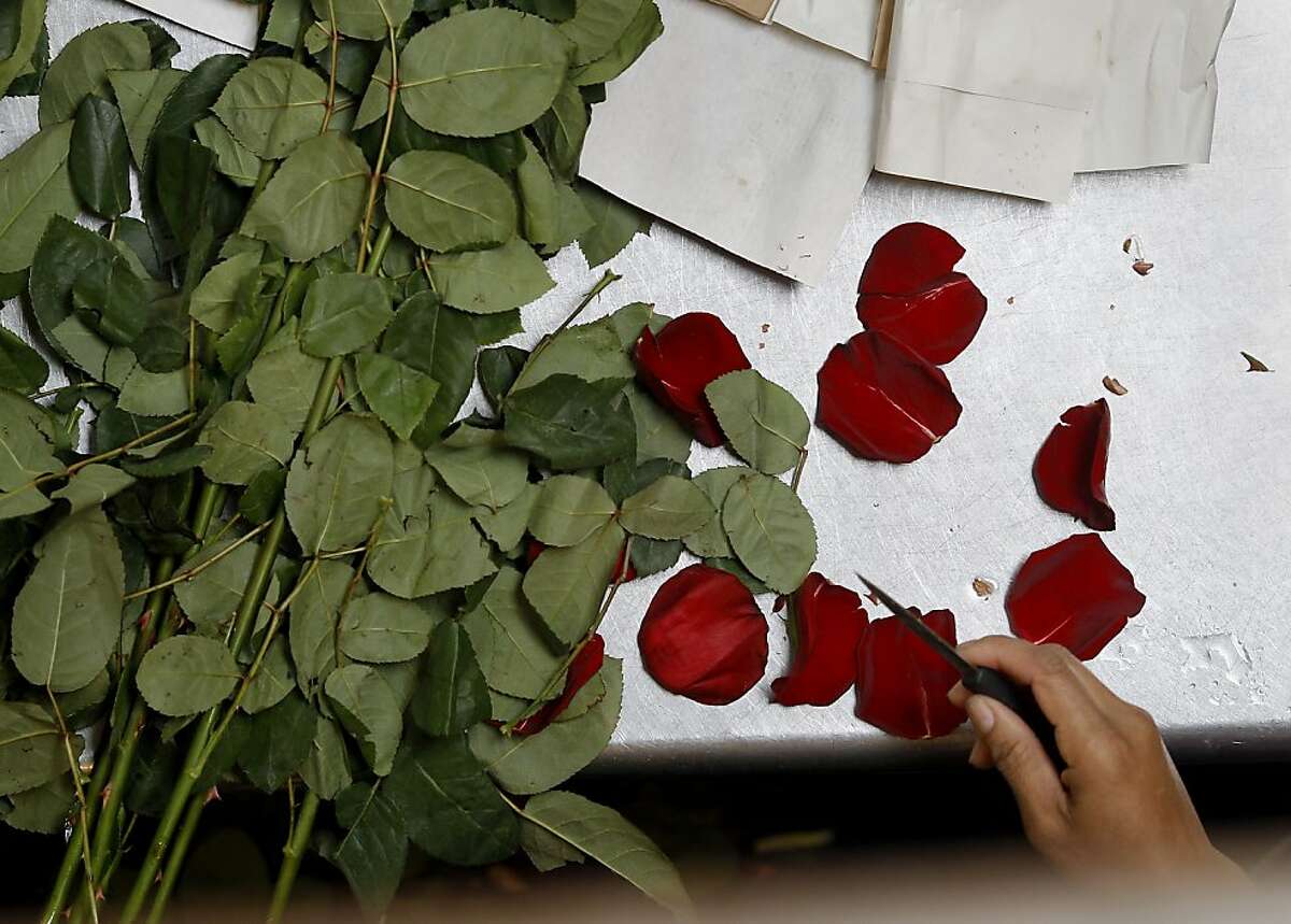 Hoogasians see thornier side of S.F. floral trade