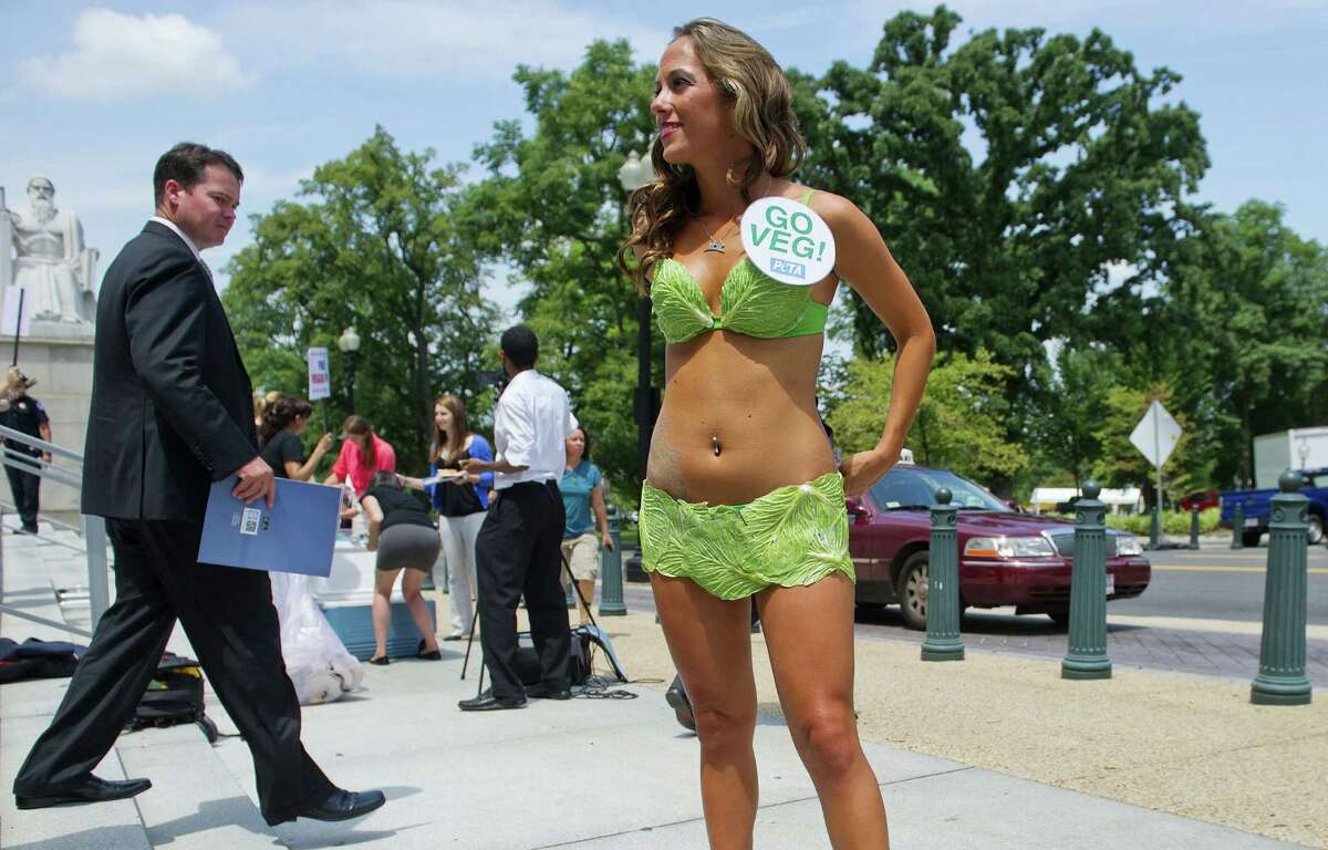One of PETA's "Sexy Lettuce Ladies", is shown wearing a bikini made of strategically placed lettuce leaves, as they give away vegan hotdogs on Capitol Hill in Washington, DC, July 11, 2012 for members of Congress and their staff. AFP PHOTO/Jim WatsonJIM WATSON/AFP/GettyImages
