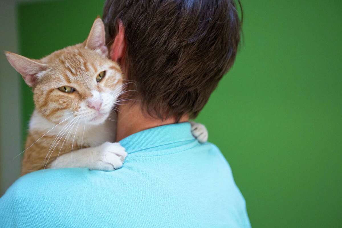 New shelter embraces 'no-kill' mission New shelter embraces 'no-kill' mission