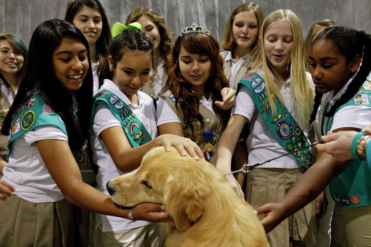 Girl Scouts with Girl Scouts of Southwest Texas pet "Grand Champion Bravo Rycroft's A Wrink L N Thyme, a golden retriever also known as "Chase" as they visit the River City Cluster of Dog Shows at the Exposition Hall on the grounds of Freeman Coliseum in San Antonio on Friday, July 13, 2012. Chase is owned by Carol Abernathy of Sweetwater.