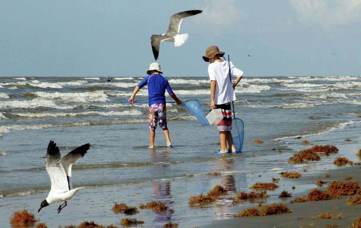 beaches littered after fourth of july