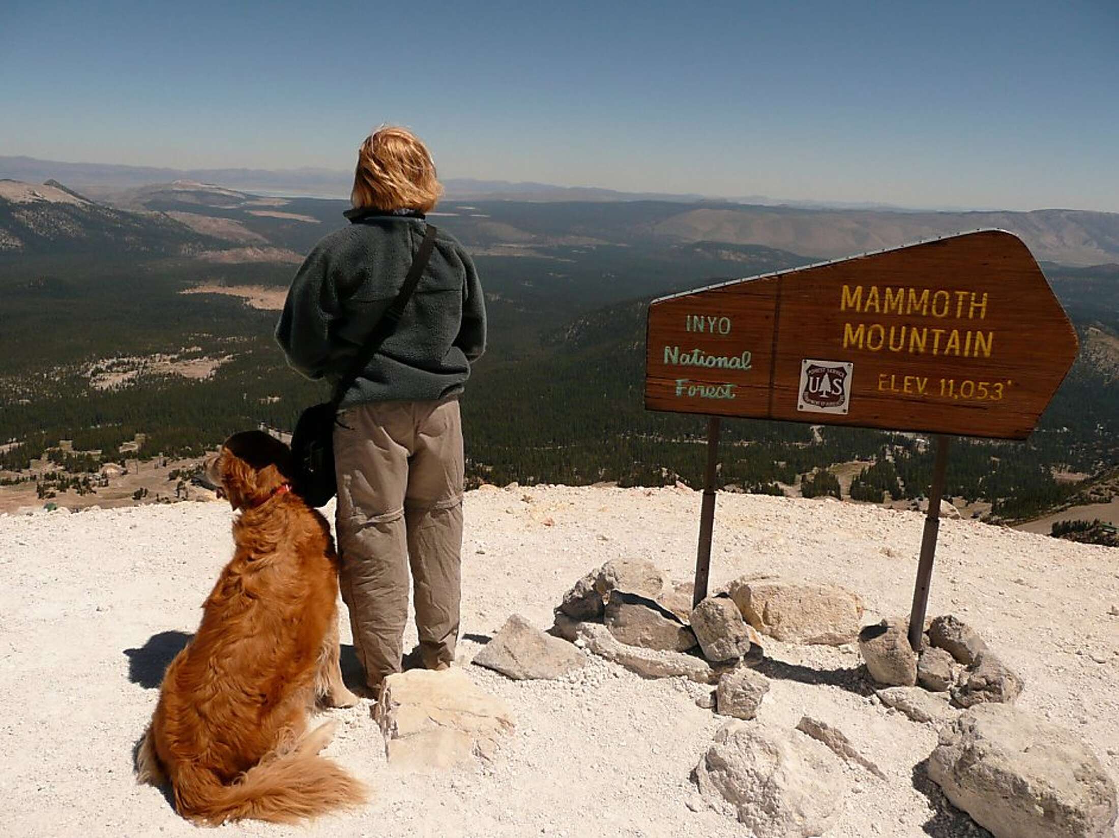 Dog-friendly California destinations