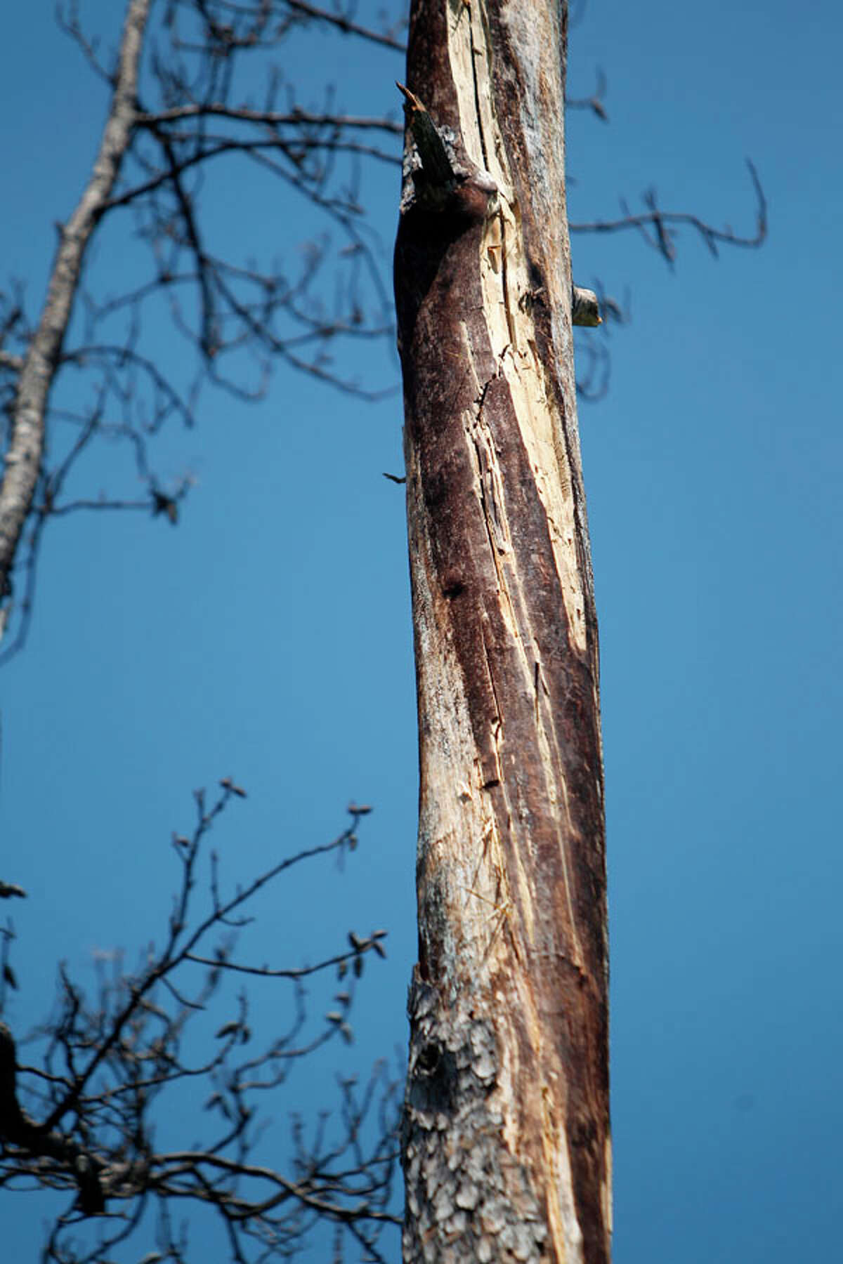 Deadly lightning strike
