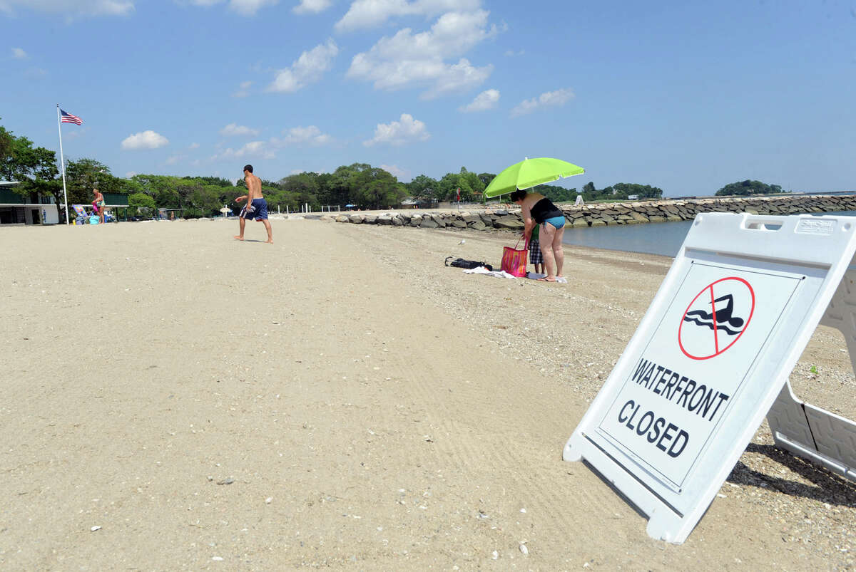 The Dart Stamford's 'lively' beach