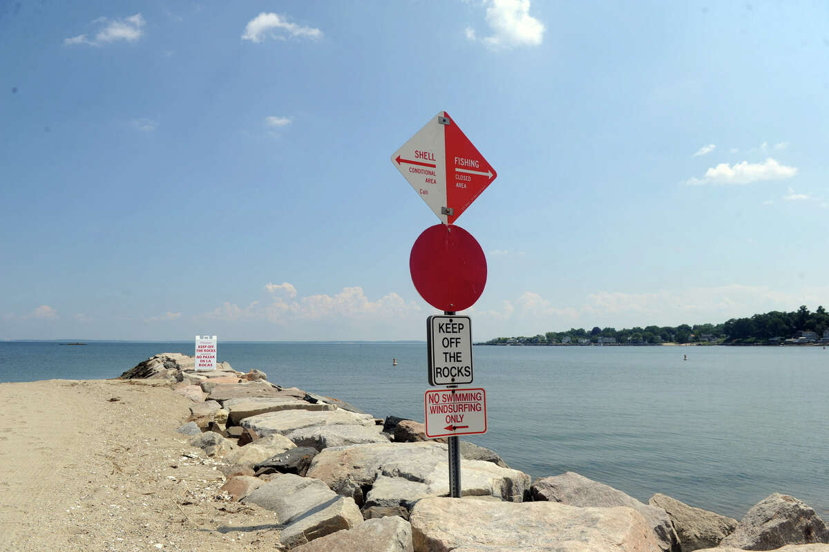 The Dart Stamford's 'lively' beach