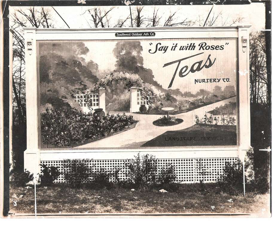 Teas Left Green Legacy In Houston Chronicle Many Neighborhoods And Streets Were Landscaped With Plants From Bellaire Based Teas Nursery Photo