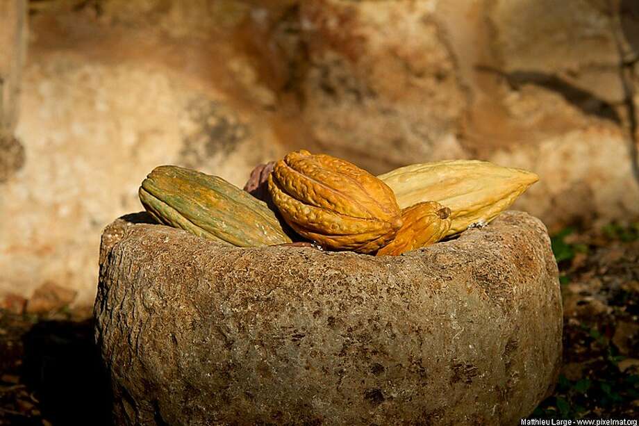 Museum blends history of cocoa with Maya daily life SFGate