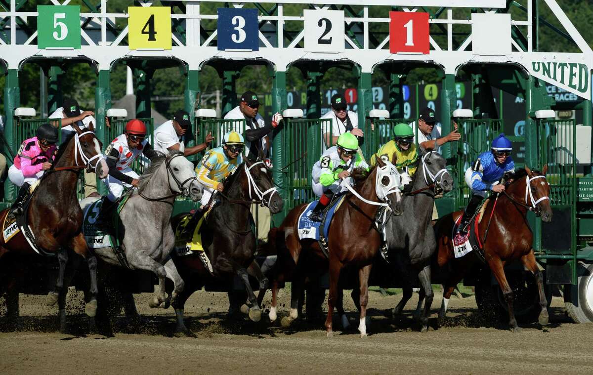 tvg saratoga