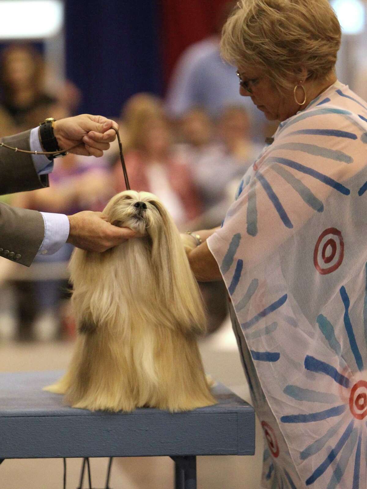 Competitive canines shine at dog show